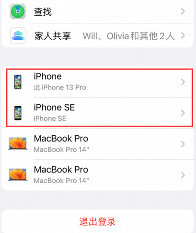 梁子湖苹梁子湖果维修网点分享iPhone如何查询序列号