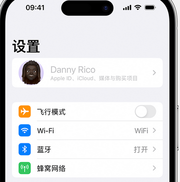 梁子湖appleID维修服务iPhone设置中Apple ID显示为灰色无法使用