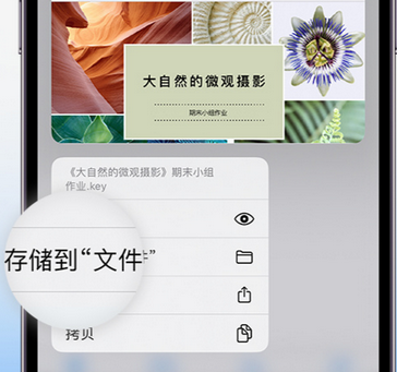 梁子湖apple维修中心分享iPhone文件应用中存储和找到下载文件