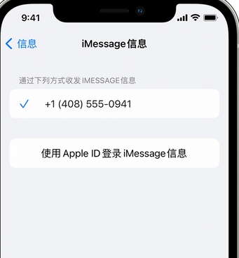 梁子湖apple维修iPhone上无法正常发送iMessage信息 