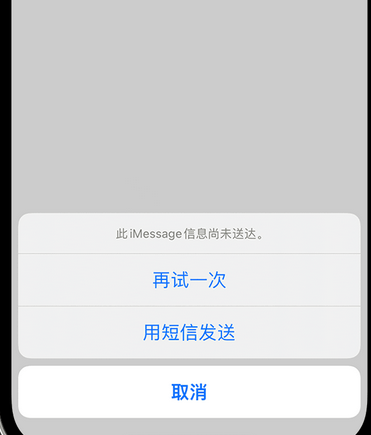 梁子湖apple维修iPhone上无法正常发送iMessage信息