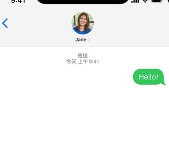 梁子湖apple维修iPhone上无法正常发送iMessage信息