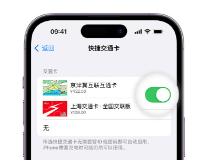 梁子湖apple维修点分享iPhone上更换Apple Pay快捷交通卡手绘卡面 