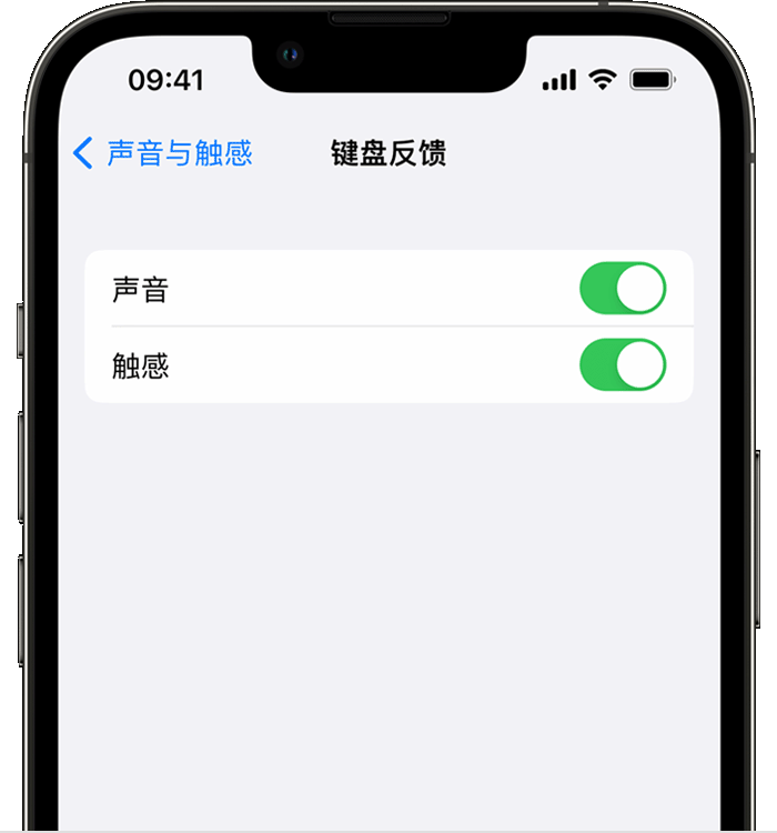 梁子湖苹果14维修店分享如何在 iPhone 14 机型中使用触感键盘 