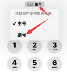 梁子湖苹果14维修店分享iPhone 14 Pro Max使用副卡打电话的方法 