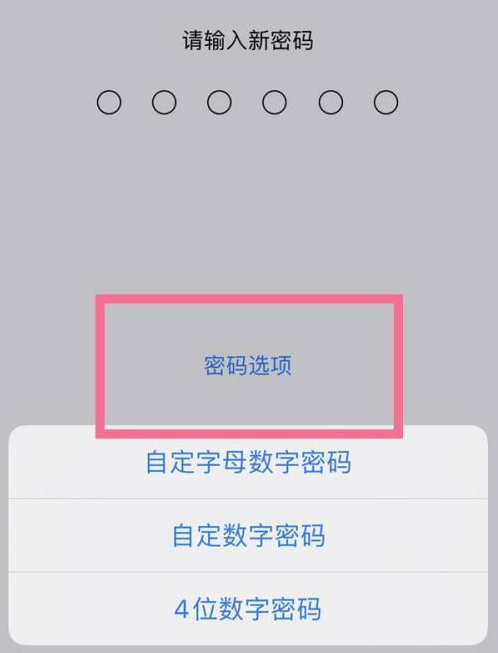 梁子湖苹果14维修分享iPhone 14plus设置密码的方法 