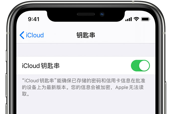 梁子湖苹果手机维修分享在 iPhone 上开启 iCloud 钥匙串之后会储存哪些信息 