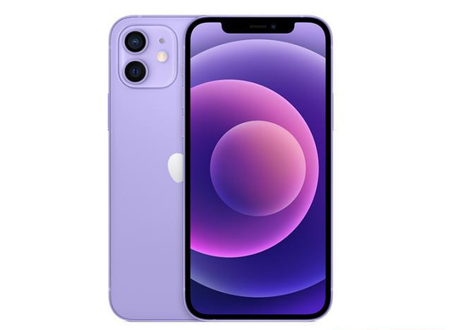 梁子湖苹果手机维修分享现阶段要不要入手紫色版iPhone12 