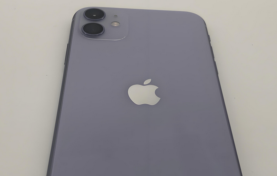 梁子湖苹果11系统维修分享iPhone11手机系统崩溃无法开机如何解决 