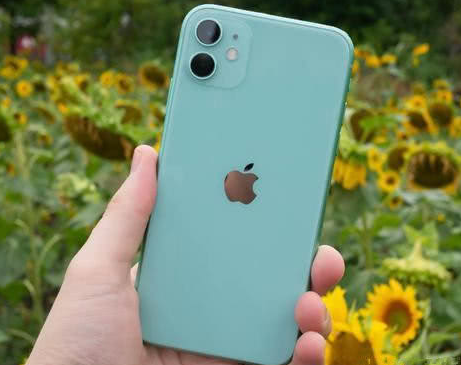 梁子湖苹果维修点分享iPhone 11锁屏密码认知与使用科普 